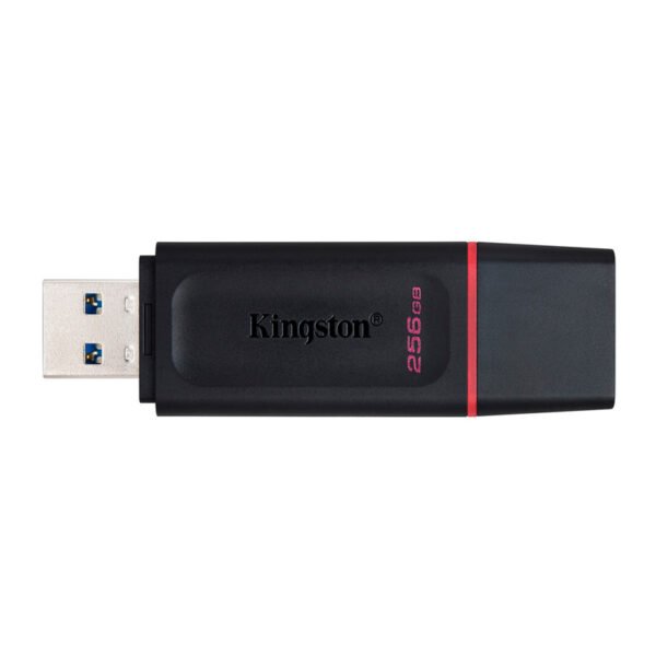 MEMORIA FLASH USB KINGSTON DATATRAVELER EXODIA 256GB - Imagen 2